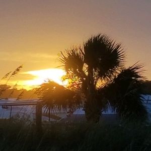 Meet your Posher, Cathy